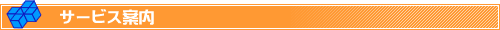 レンタルサーバー サービス案内