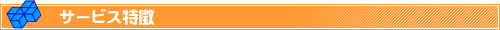 レンタルサーバー サービス特徴